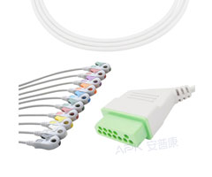 A2036-EE1 Nihon Kohden Compatible EKG câble 12 broches Nihon Kohden connecteur AHA pince