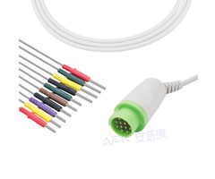 A4343-EE0 câble EKG Compatible avec les soins de santé GE rond 12 broches 10KΩ IEC Din3.0
