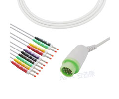 A4043-EE0 GE câble EKG Compatible avec les soins de santé rond 12 broches 10KΩ IEC banane