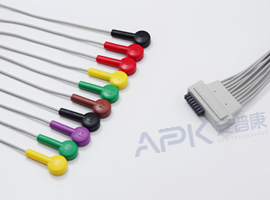 A55HEC10IK ECG Holter câble 10 fils Snap, IEC