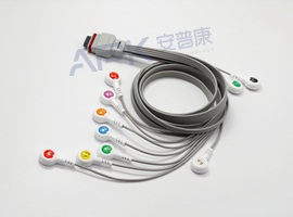 A56HEC10AK ECG Holter câble 10 fils Snap, AHA