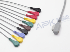 A58HEC10IK ECG Holter câble 10 fils Snap, IEC