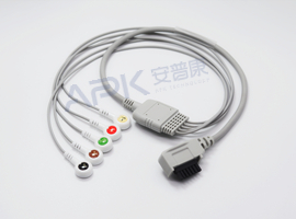 A61HEC05AK câble Holter Compatible nord-est DR200 ECG 5 fils, AHA